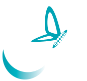 Dr. Straight Teeth